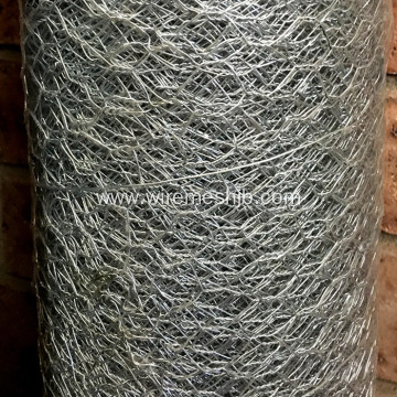 Galvanized Hexagonal Wire Mesh For Poultry